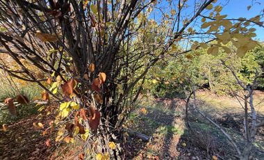 VENTA TERRENO AMPLIO CON CASA Y GALPON