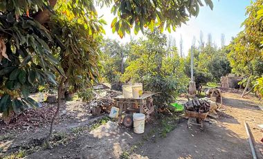 VENTA TERRENO AMPLIO CON CASA Y GALPON