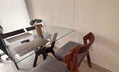 RENTA DE CASA AMUEBLADA EN VIÑEDOS SALIDA LEON SILAO
