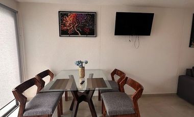 RENTA DE CASA AMUEBLADA EN VIÑEDOS SALIDA LEON SILAO
