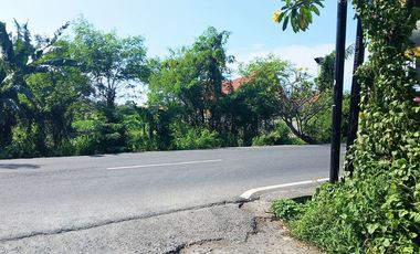 DIJUAL LAHAN SHM 1.5 ARE DI JALAN SEDAP MALAM DENPASAR BALI