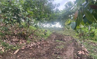 Vendo Finca de 3,5 Hectáreas en Puerto Quito. Pichincha , Ecuador.
