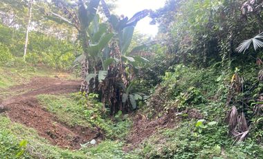 Vendo Finca de 3,5 Hectáreas en Puerto Quito. Pichincha , Ecuador.