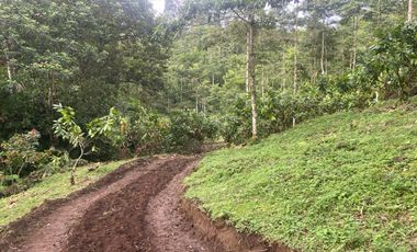 Vendo Finca de 3,5 Hectáreas en Puerto Quito. Pichincha , Ecuador.