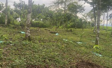Vendo Finca de 3,5 Hectáreas en Puerto Quito. Pichincha , Ecuador.