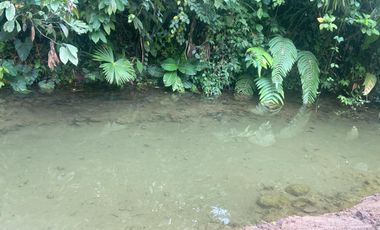 Finca de 3,5 Hectáreas  de venta en Puerto Quito. Pichincha , Ecuador.