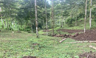 Finca de 3,5 Hectáreas  de venta en Puerto Quito. Pichincha , Ecuador.