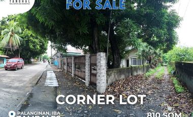 House, Lot, and Income-Generating Apartments in Iba, Zambales
