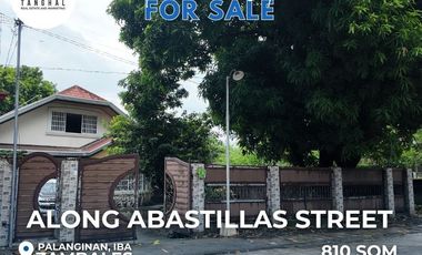 House, Lot, and Income-Generating Apartments in Iba, Zambales
