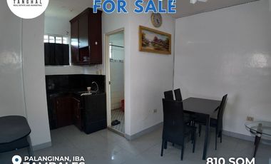 House, Lot, and Income-Generating Apartments in Iba, Zambales