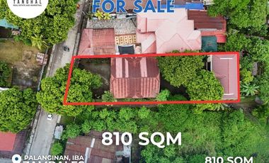House, Lot, and Income-Generating Apartments in Iba, Zambales