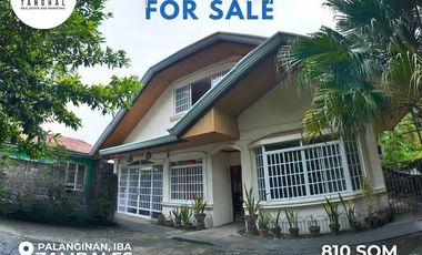 House, Lot, and Income-Generating Apartments in Iba, Zambales