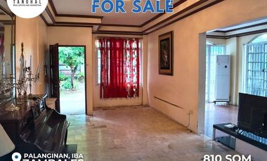 House, Lot, and Income-Generating Apartments in Iba, Zambales