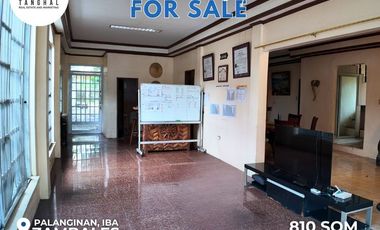 House, Lot, and Income-Generating Apartments in Iba, Zambales