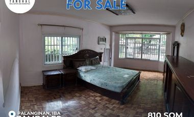 House, Lot, and Income-Generating Apartments in Iba, Zambales