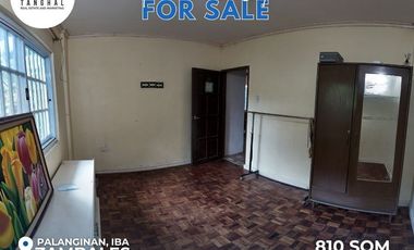 House, Lot, and Income-Generating Apartments in Iba, Zambales