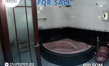 House, Lot, and Income-Generating Apartments in Iba, Zambales