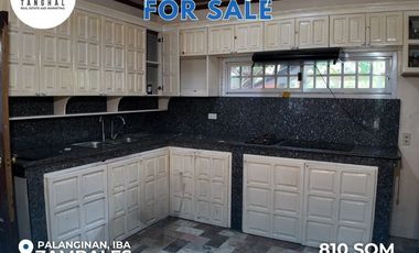 House, Lot, and Income-Generating Apartments in Iba, Zambales