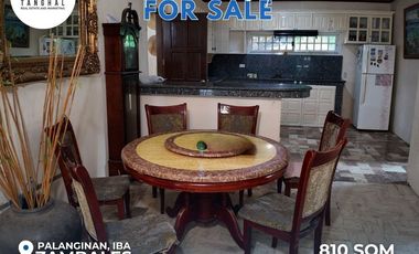 House, Lot, and Income-Generating Apartments in Iba, Zambales