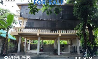House, Lot, and Income-Generating Apartments in Iba, Zambales