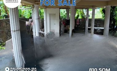 House, Lot, and Income-Generating Apartments in Iba, Zambales