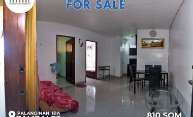 House, Lot, and Income-Generating Apartments in Iba, Zambales