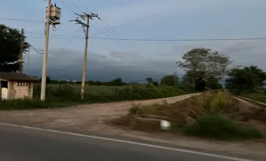 Terreno en renta en Valle de Banderas, ideal para agropecuarios, 5,000 m2
