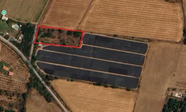 Terreno en renta en Valle de Banderas, ideal para agropecuarios, 5,000 m2