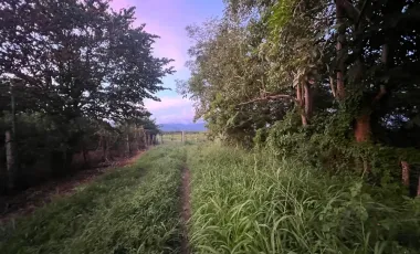 Terreno en renta en Valle de Banderas, ideal para agropecuarios, 5,000 m2