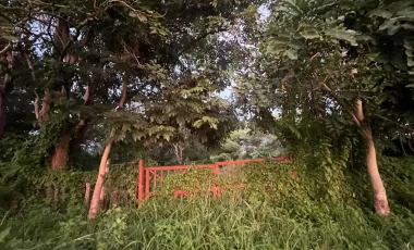 Terreno en renta en Valle de Banderas, ideal para agropecuarios, 5,000 m2