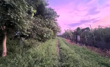 Terreno en renta en Valle de Banderas, ideal para agropecuarios, 5,000 m2