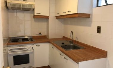 Arriendo estupendo departamento en Santiago