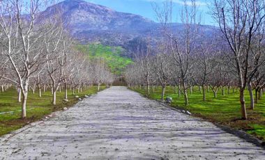 Parcela con Rol propio, luz y agua