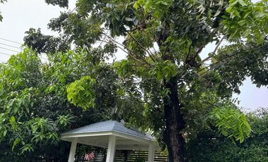 For Sale 3-storey Pool Villa, size 75.4 square wah, Rama 9 - Krungthep Kreetha