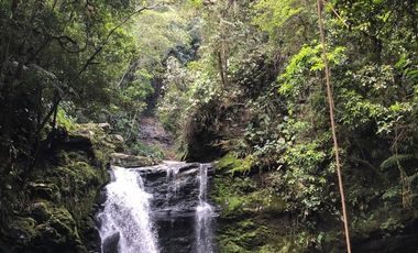 SE VENDE FINCA DE 5 HECTARES VEREDA SAN NICOLAS MONIQUIRA
