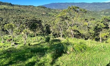 SE VENDE FINCA DE 5 HECTARES VEREDA SAN NICOLAS MONIQUIRA