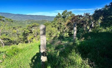 SE VENDE FINCA DE 5 HECTARES VEREDA SAN NICOLAS MONIQUIRA