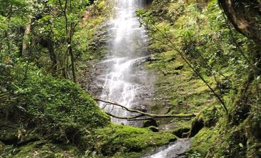 SE VENDE FINCA DE 5 HECTARES VEREDA SAN NICOLAS MONIQUIRA