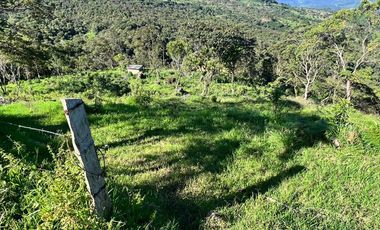SE VENDE FINCA DE 5 HECTARES VEREDA SAN NICOLAS MONIQUIRA