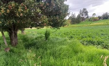 SE VENDE FINCA EN TOCA BOYACA