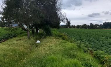 SE VENDE FINCA EN TOCA BOYACA