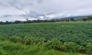 SE VENDE FINCA EN TOCA BOYACA