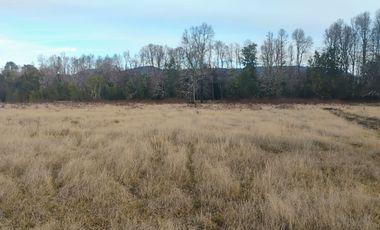 Parcela a 5 Minutos de Vrca. Sector Conquil Todo Pavimentado