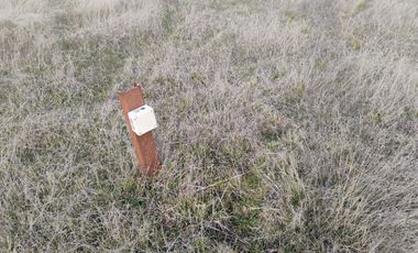 Parcela a 5 Minutos de Vrca. Sector Conquil Todo Pavimentado