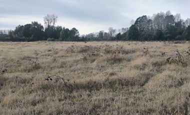 Parcela a 5 Minutos de Vrca. Sector Conquil Todo Pavimentado
