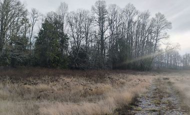 Parcela a 5 Minutos de Vrca. Sector Conquil Todo Pavimentado