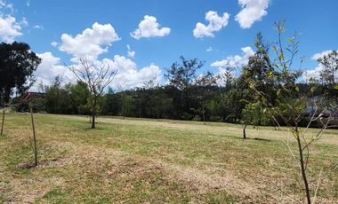 En Venta Terreno en sector de Patamarca ideal para inversión - Cuenca