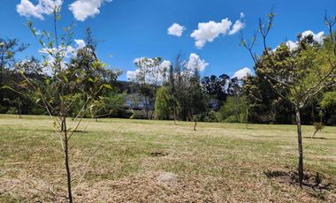 En Venta Terreno en sector de Patamarca ideal para inversión - Cuenca