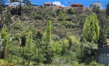 En Venta Terreno en sector de Patamarca ideal para inversión - Cuenca