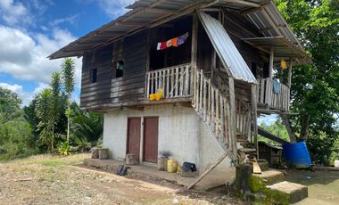 SE VENDE FINCA AGRÍCOLA EN PRODUCCIÓN 126,70 HECTÁREAS, MONTERREY – LA CONCORDIA - SANTO DOMINGO - ECUADOR